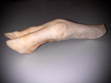 Lammfuß